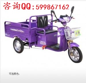 綠源DSZ1-4820三輪電動(dòng)車圖片/綠源DSZ1-4820三輪電動(dòng)車樣板圖 (3)