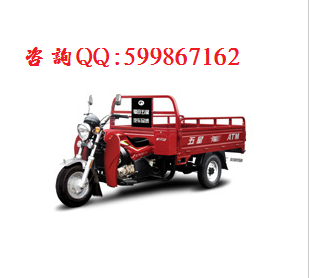 宗申ZS175ZH-3三輪摩托車圖片/宗申ZS175ZH-3三輪摩托車樣板圖 (3)