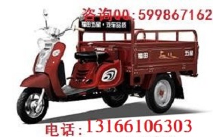 福田五星175ZH-11ZA/J圖片/福田五星175ZH-11ZA/J樣板圖 (2)