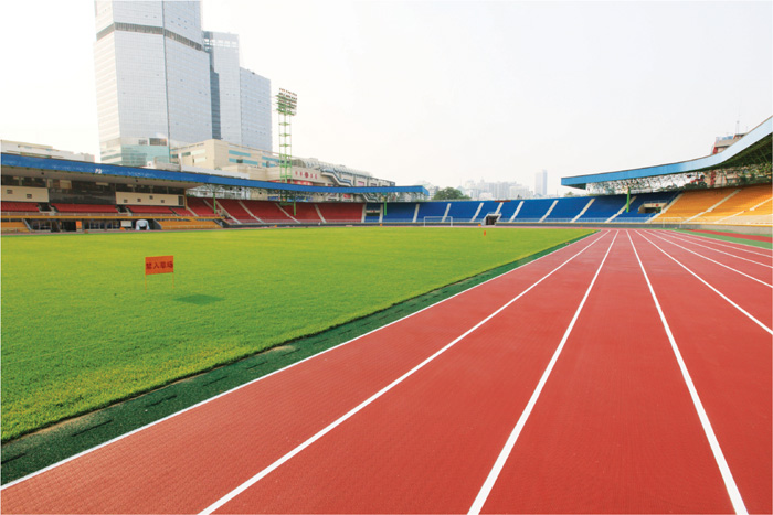 橡膠跑道圖片/橡膠跑道樣板圖 (4)