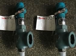 儲(chǔ)氣罐安全閥圖片/儲(chǔ)氣罐安全閥樣板圖 (1)