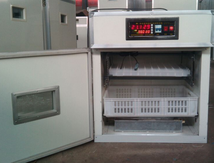 孵化設(shè)備 智能孵化器圖片