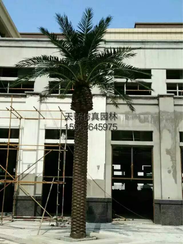 濰坊仿真榕樹制作精美 價格實惠圖片
