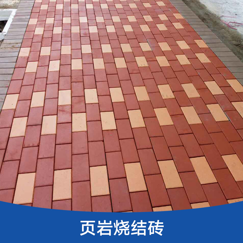 頁巖燒結(jié)磚圖片/頁巖燒結(jié)磚樣板圖 (4)