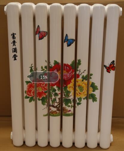 虹圣陽QFGZ206圖片