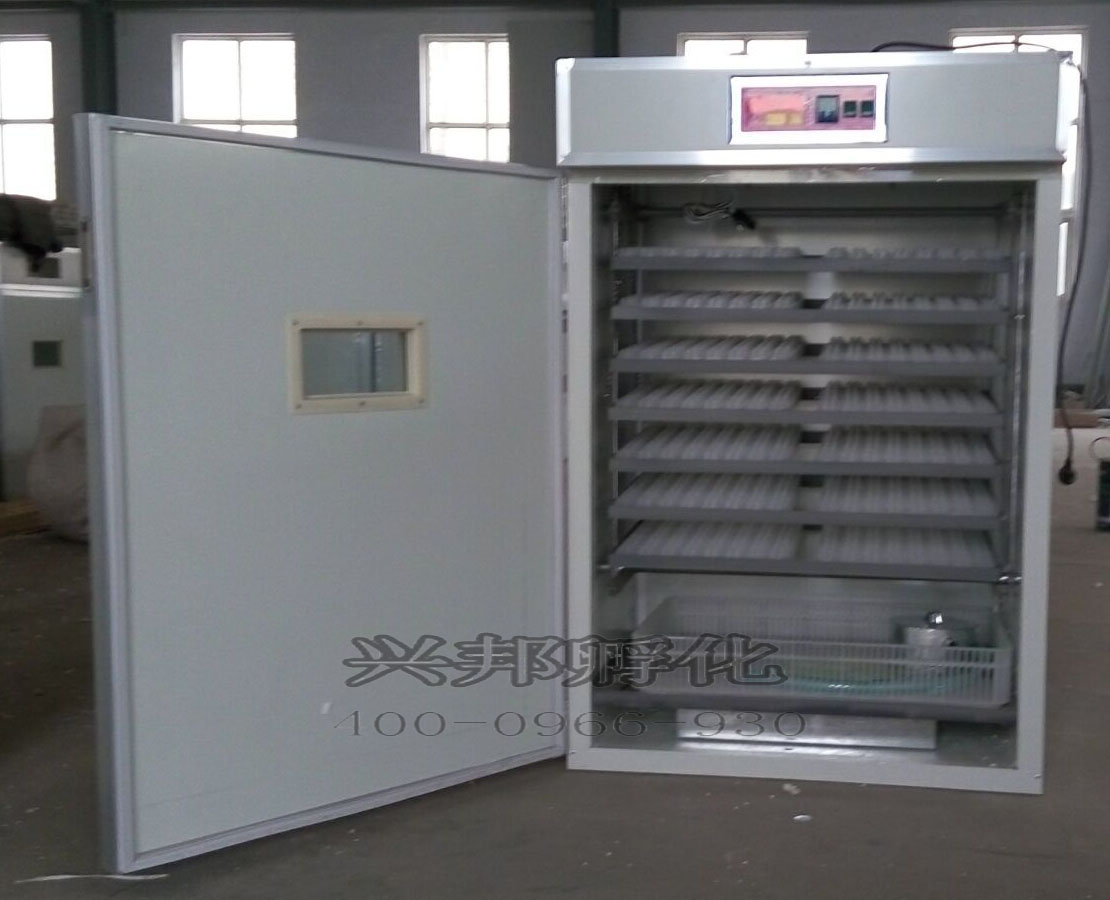 孵化機(jī) 智能孵化器，大中小孵化機(jī)圖片