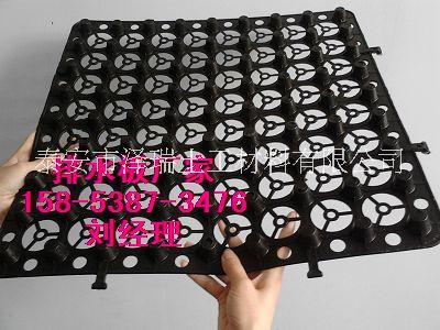 H12mm地下車庫(kù)排水板圖片