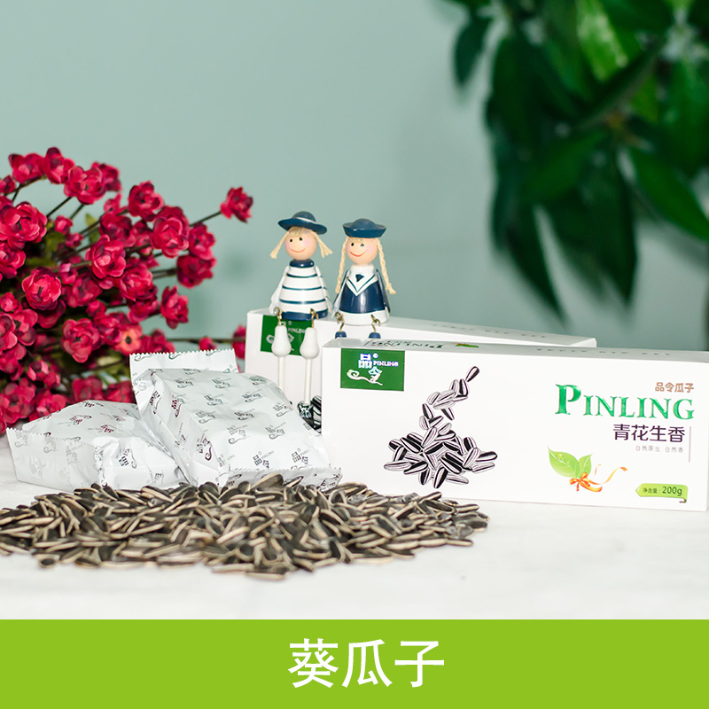 葵瓜子圖片/葵瓜子樣板圖 (1)