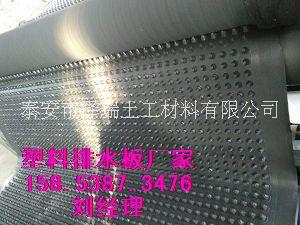 西安（園林綠化排水板）排水籠型號 園林綠化排水板）排水籠型號規(guī)格
