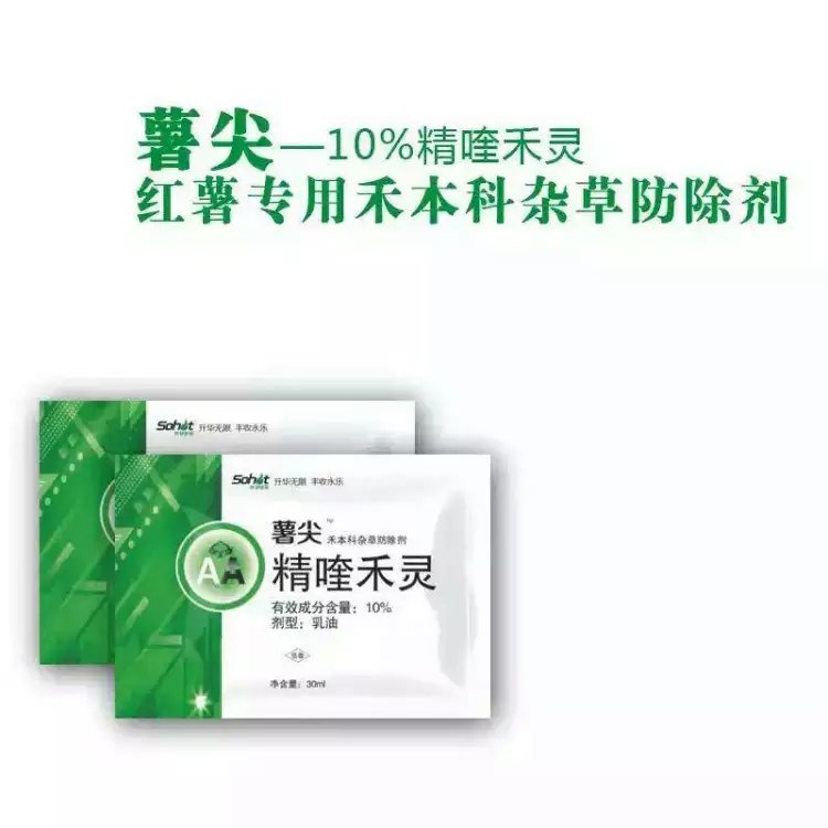 膨大素圖片/膨大素樣板圖 (1)