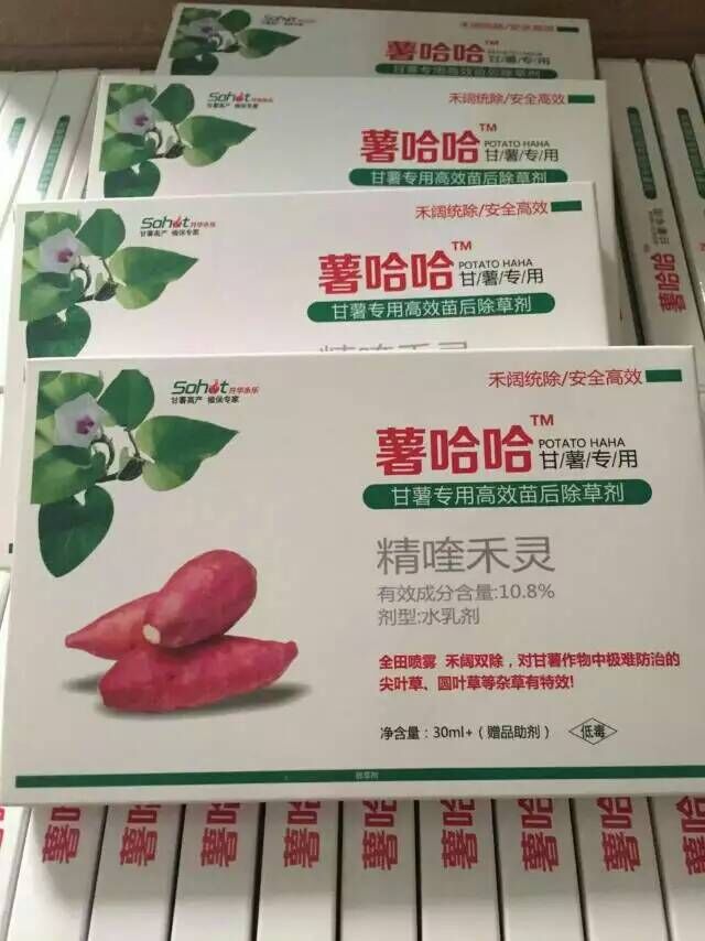膨大素圖片/膨大素樣板圖 (4)