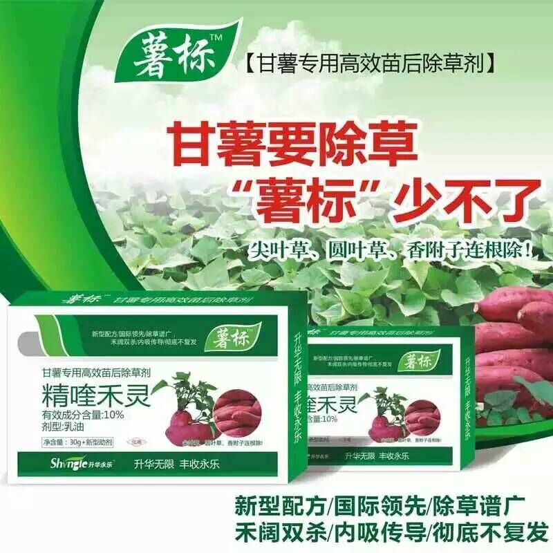 膨大素圖片/膨大素樣板圖 (3)