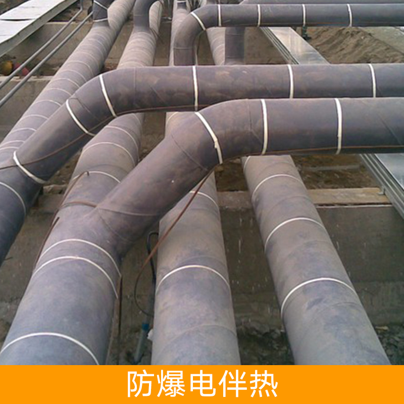 防爆電伴熱設(shè)備 防爆電伴熱 自控溫電伴熱 防腐電伴熱 加熱帶