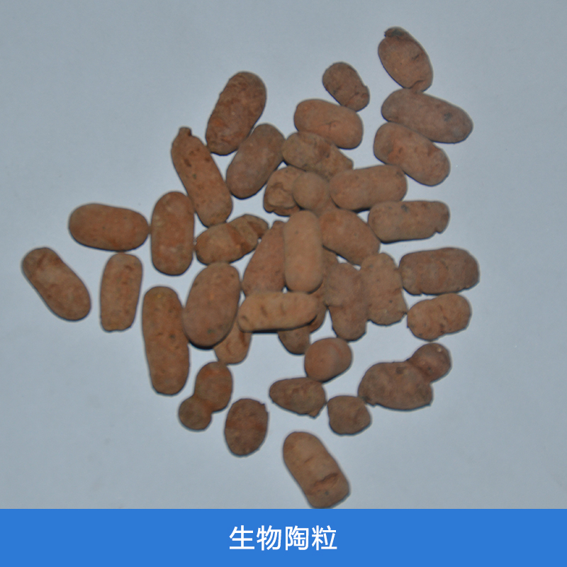 生物陶粒圖片/生物陶粒樣板圖 (4)