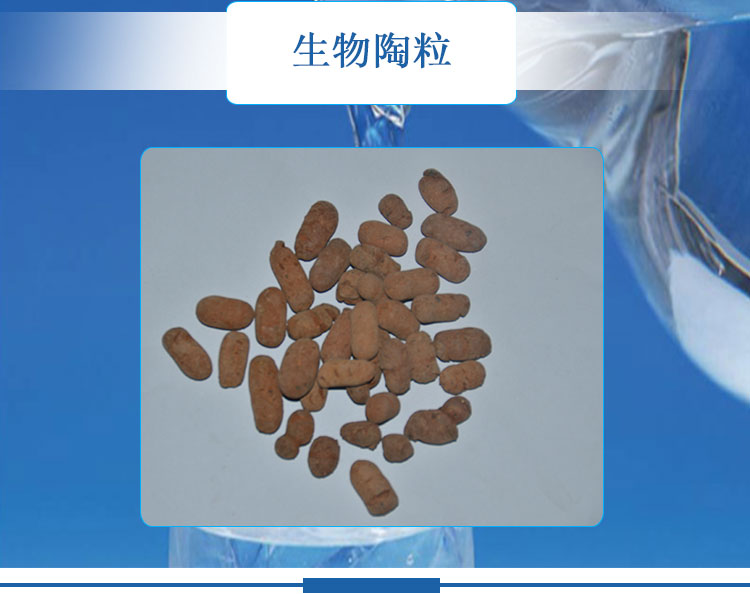生物陶粒圖片/生物陶粒樣板圖 (3)