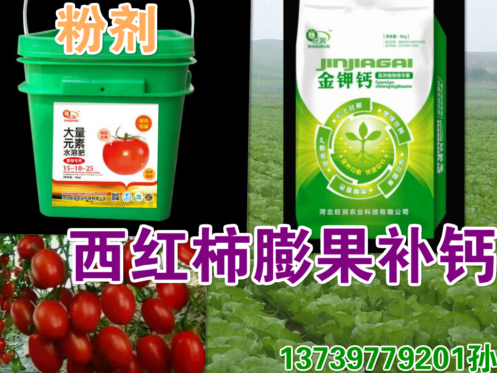 金鉀鈣圖片/金鉀鈣樣板圖 (2)