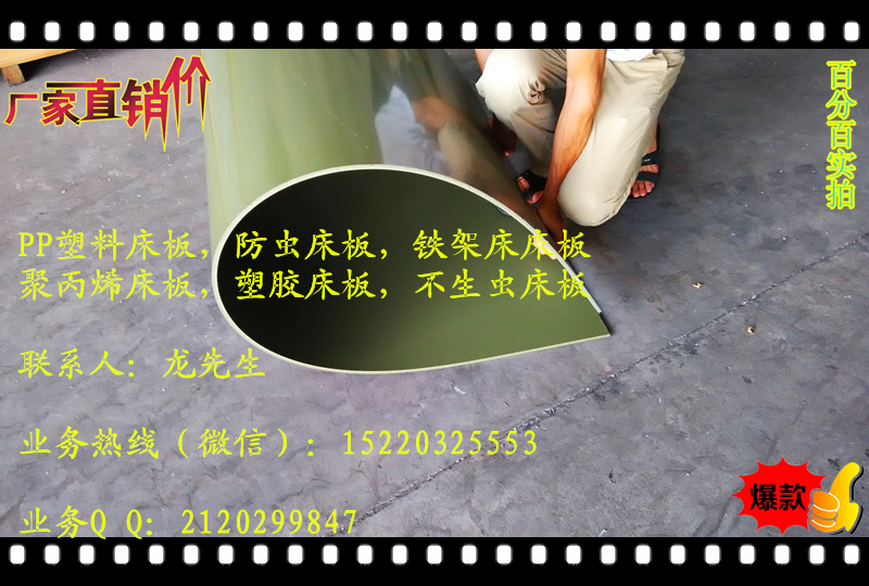 防蟲(chóng)床板圖片/防蟲(chóng)床板樣板圖 (4)