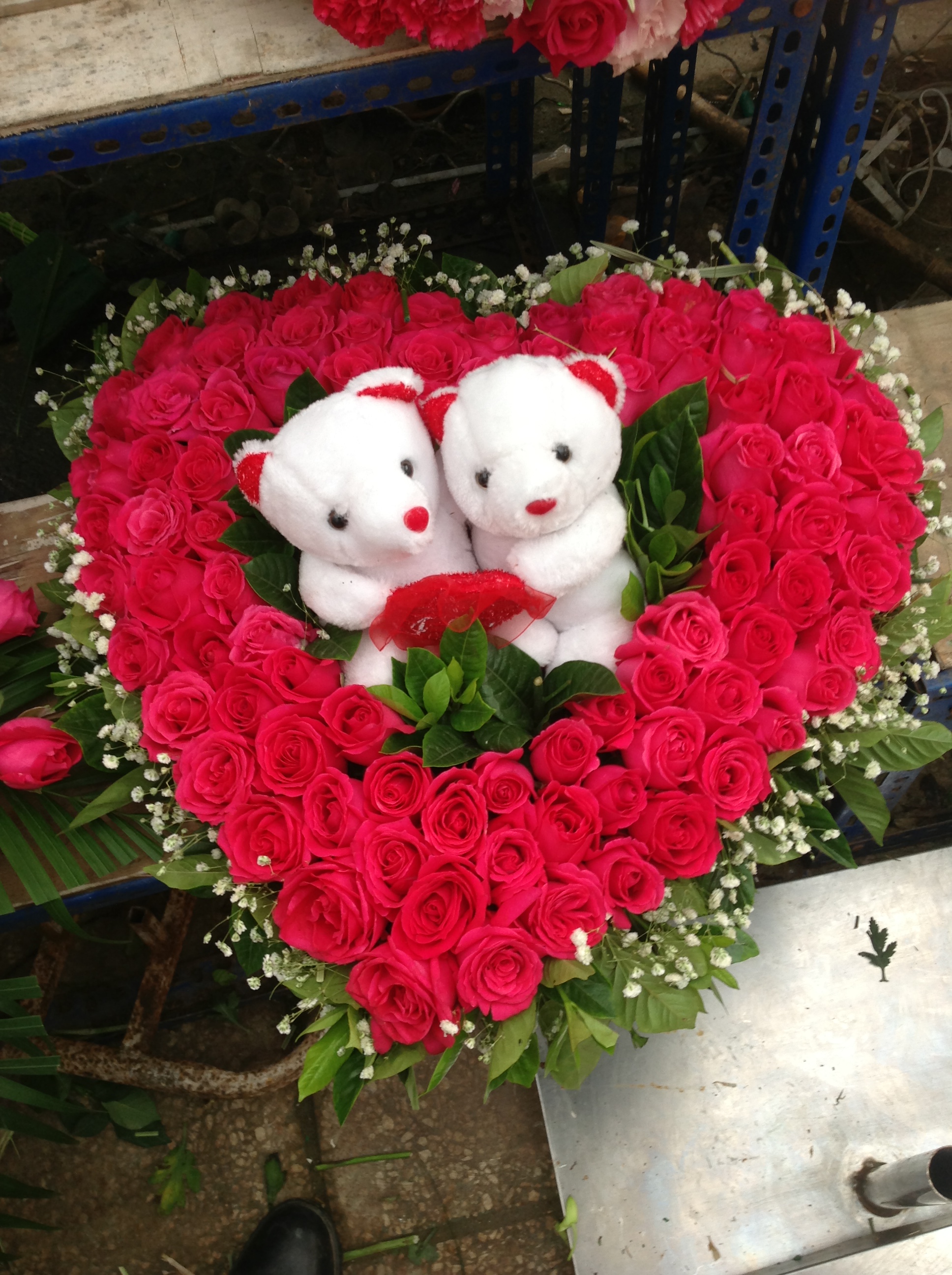 北京花卉租賃圖片/北京花卉租賃樣板圖 (4)