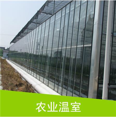 溫室建設(shè)圖片/溫室建設(shè)樣板圖 (4)