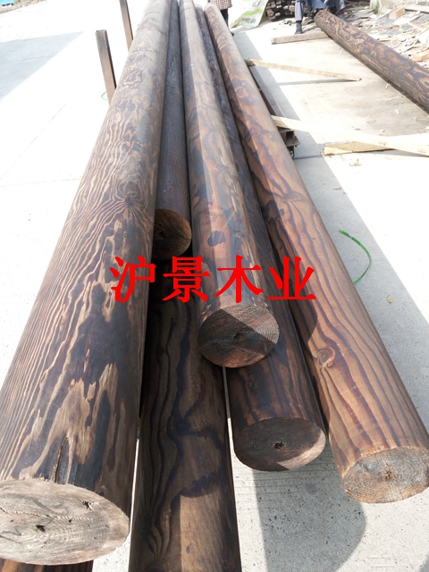 花旗松碳化圖片/花旗松碳化樣板圖 (2)