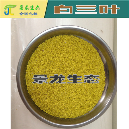 包衣圖片/包衣樣板圖 (3)