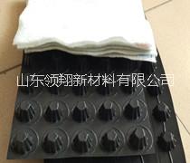 隧道防水板圖片/隧道防水板樣板圖 (3)