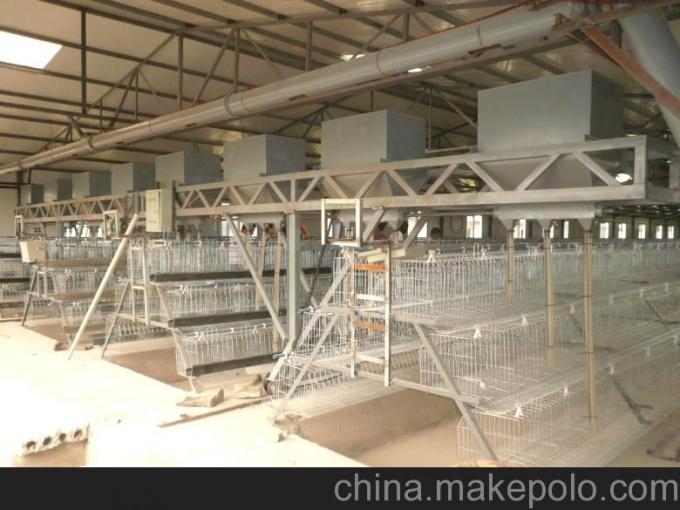 蛋雞籠圖片/蛋雞籠樣板圖 (4)