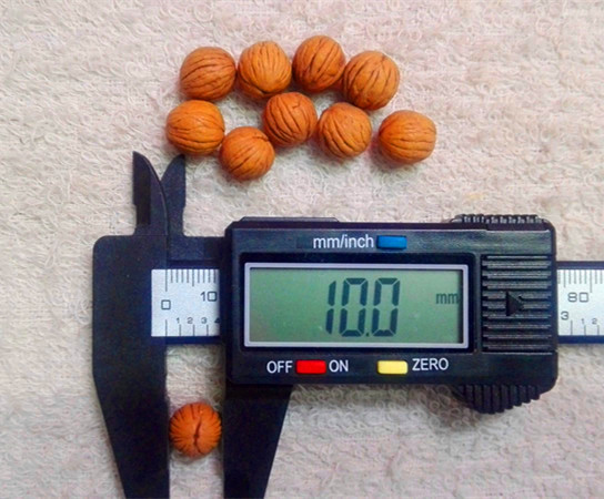 供應(yīng)粒徑10-45mm美國猴頭核桃