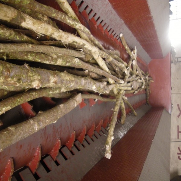 剝皮機(jī)圖片/剝皮機(jī)樣板圖 (3)