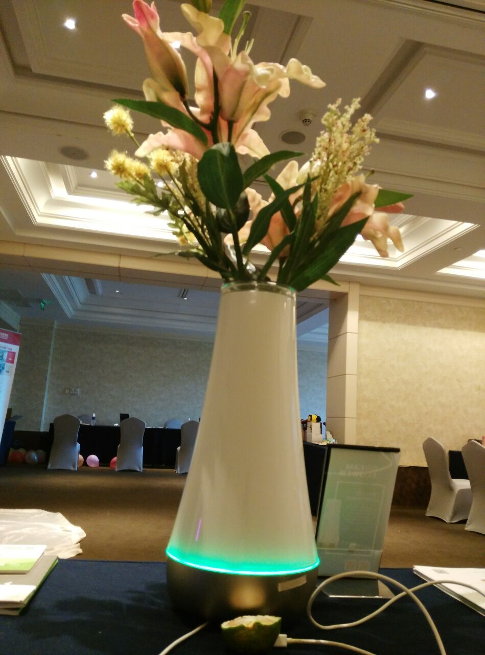 花瓶價(jià)格，網(wǎng)關(guān) 智能家居核心大腦，智能家居網(wǎng)關(guān)