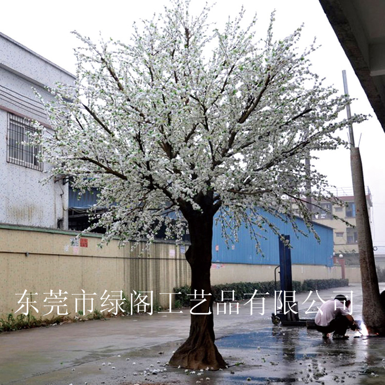 桃花樹圖片/桃花樹樣板圖 (3)