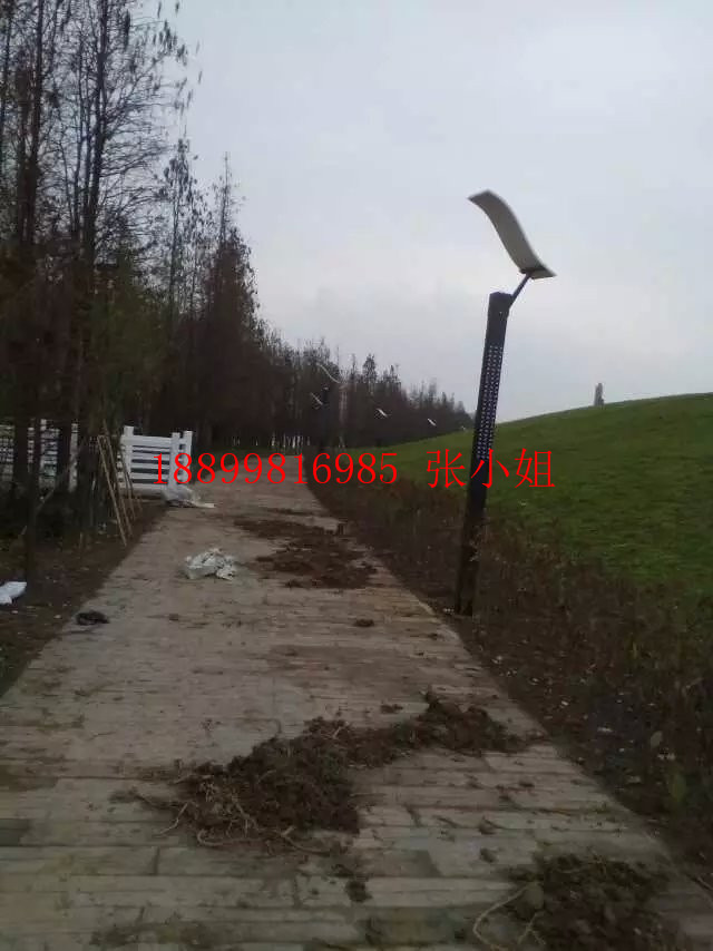 湖南別墅雙頭歐式庭院燈供貨商 湖南哪里有不銹鋼庭院燈廠家