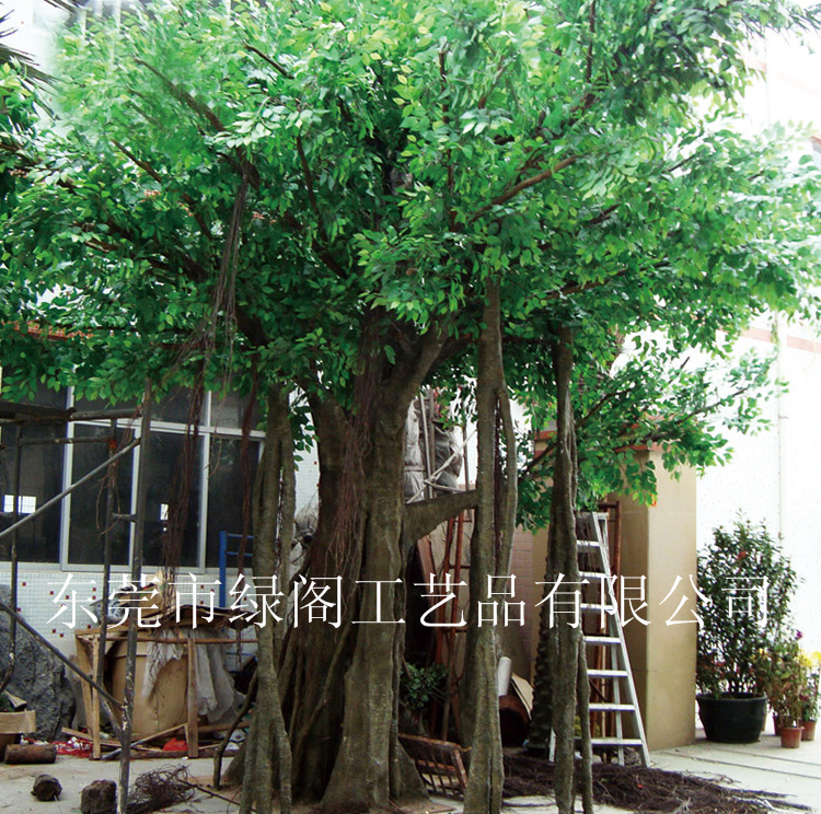 仿真榕樹圖片