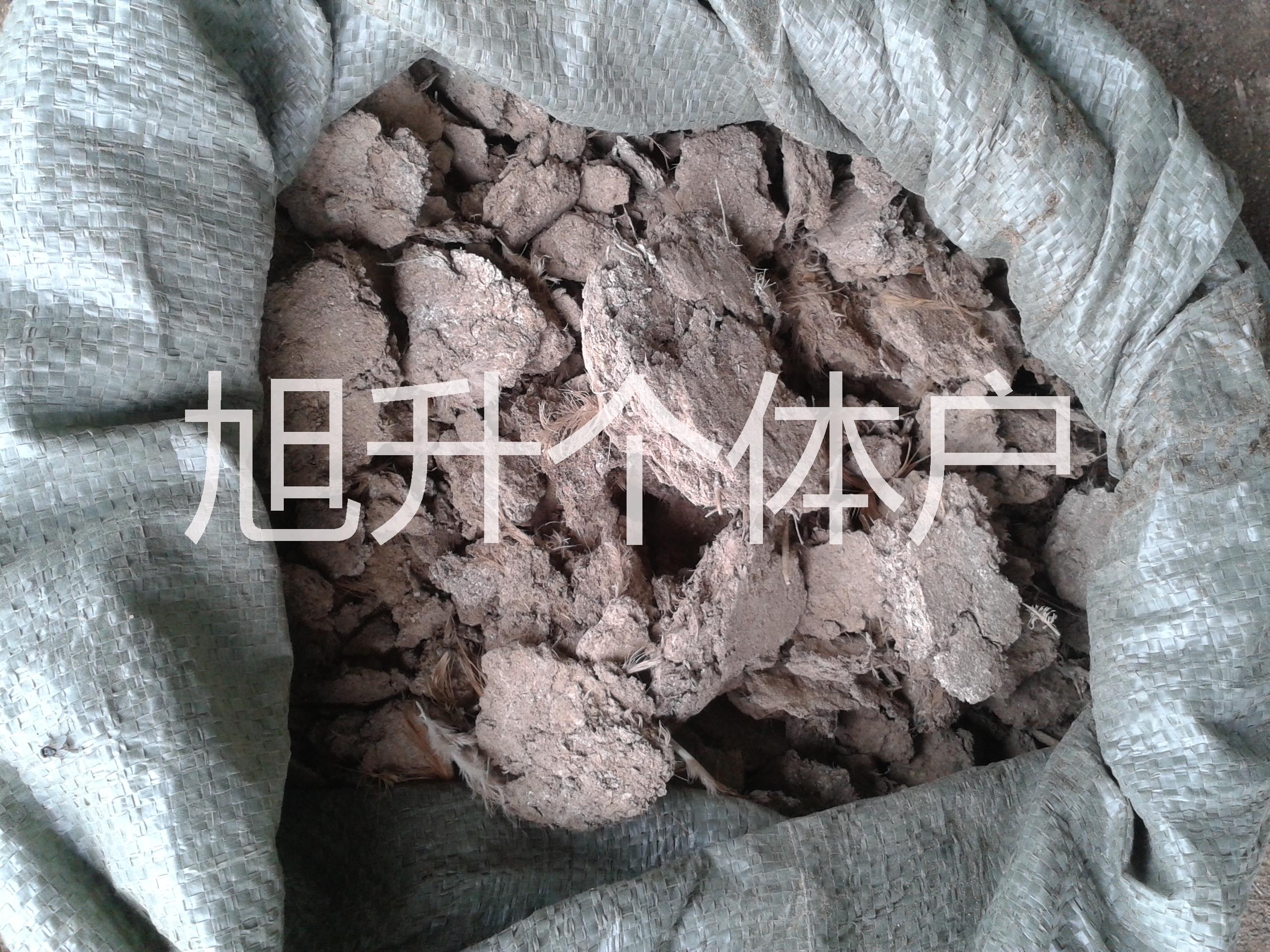 江西純干無雜質(zhì)雞糞圖片/江西純干無雜質(zhì)雞糞樣板圖 (1)