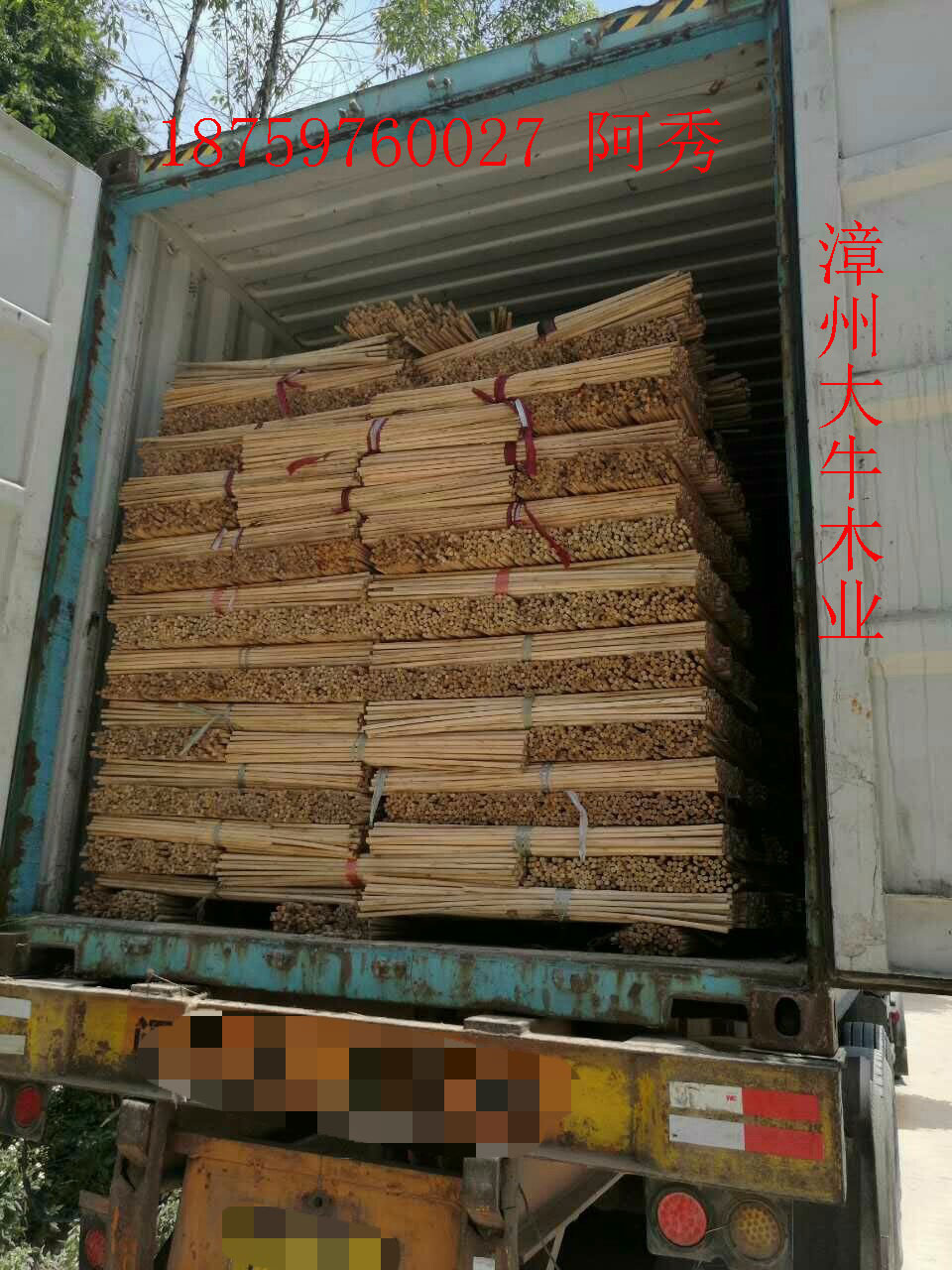 桉木木芯 桉木芯銷售