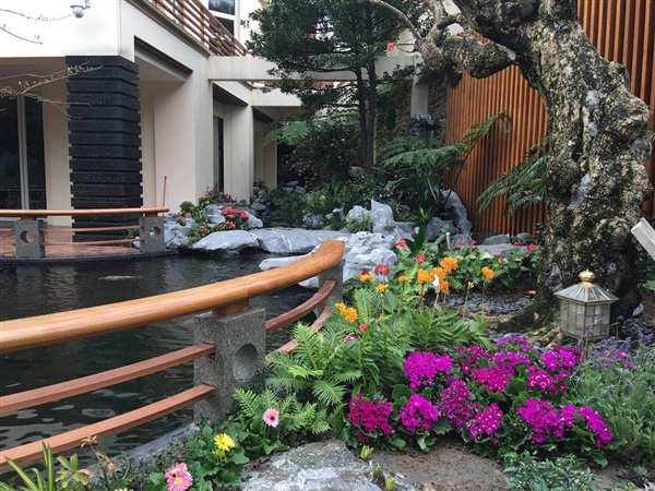 蘇州園林綠化工程施工 蘇州園林綠化工程價格