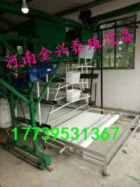 肉雞籠圖片/肉雞籠樣板圖 (4)