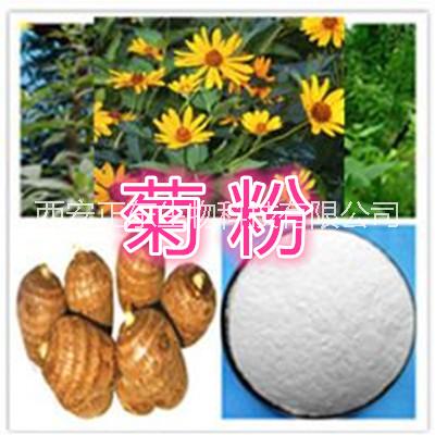 菊粉圖片/菊粉樣板圖 (2)