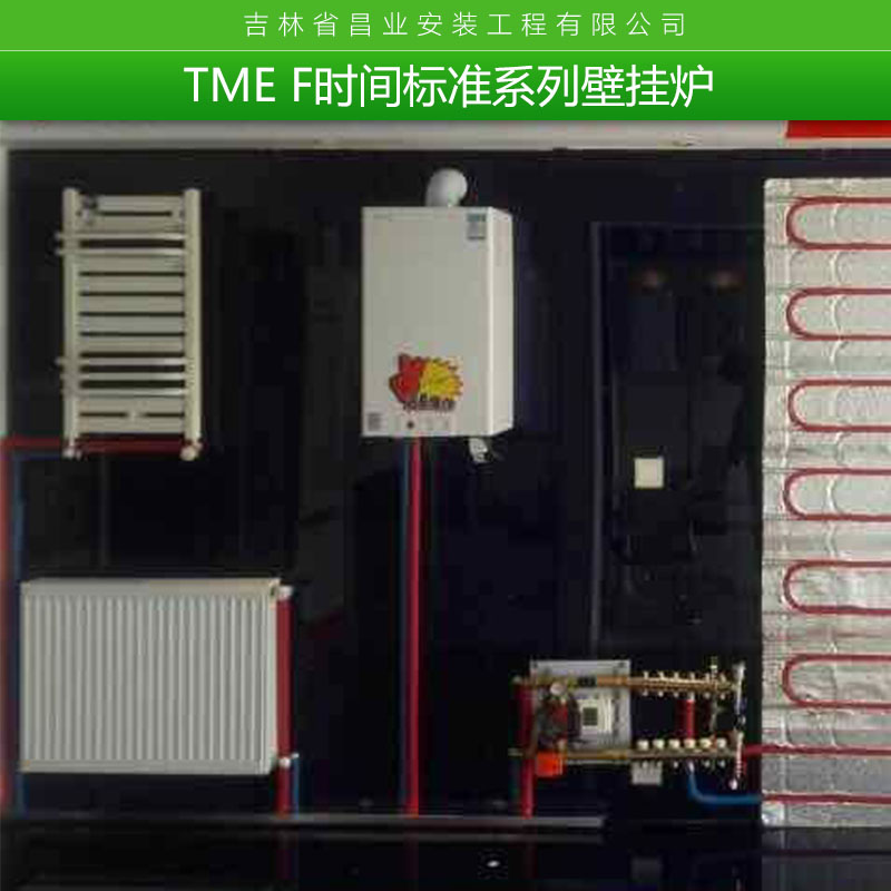 時(shí)間標(biāo)準(zhǔn)系列掛壁爐圖片/時(shí)間標(biāo)準(zhǔn)系列掛壁爐樣板圖 (3)