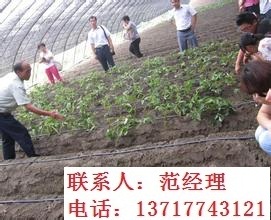 滴灌管圖片/滴灌管樣板圖 (3)