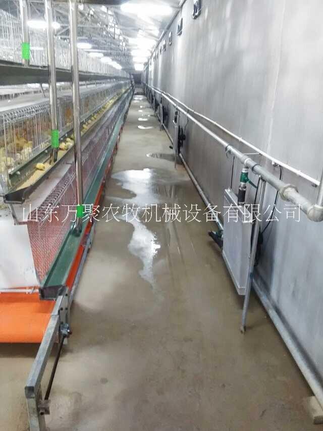 育雛熱風(fēng)爐圖片/育雛熱風(fēng)爐樣板圖 (4)