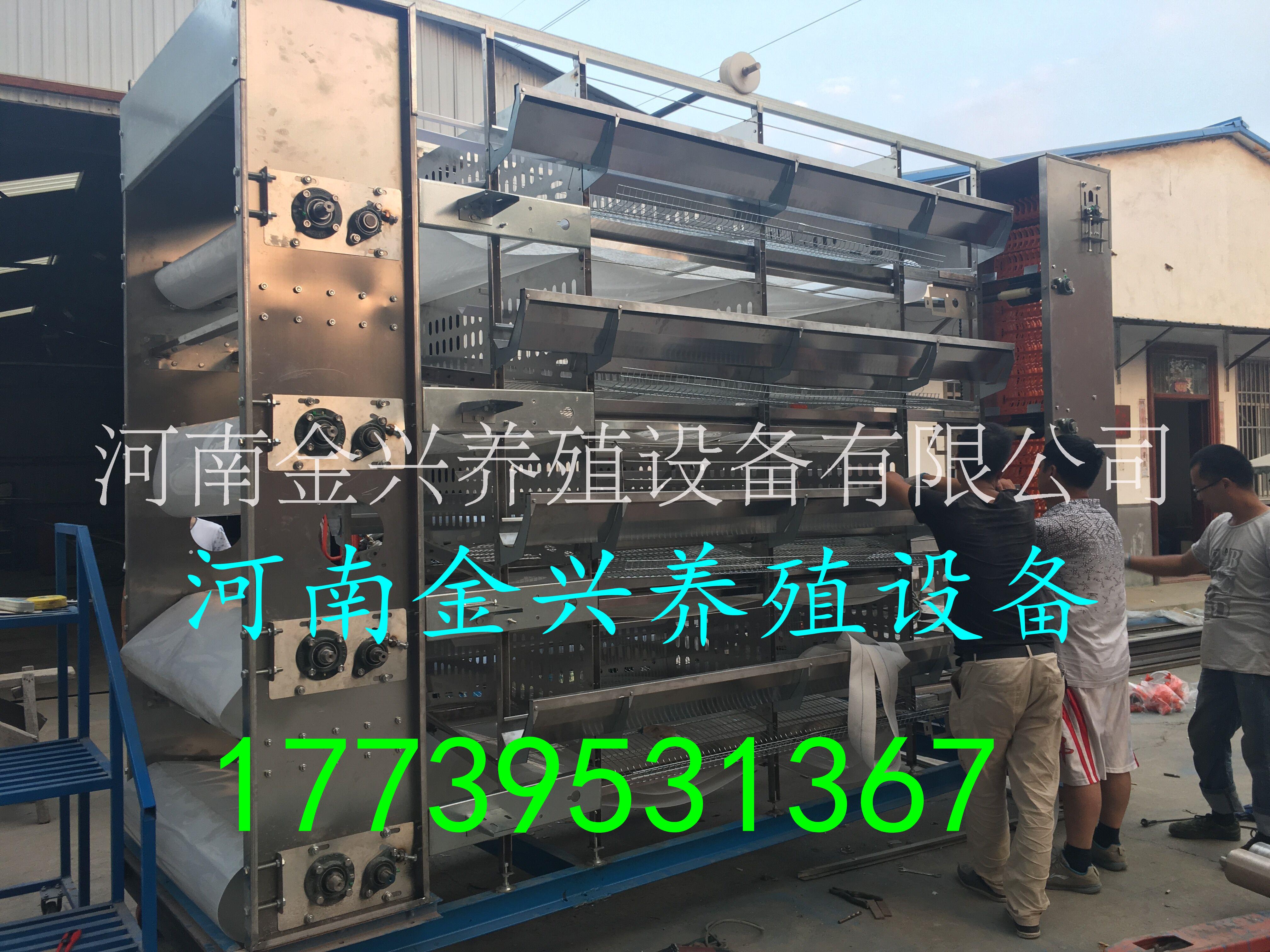 廠(chǎng)家直銷(xiāo)蛋雞籠 肉雞籠 育雛籠圖片