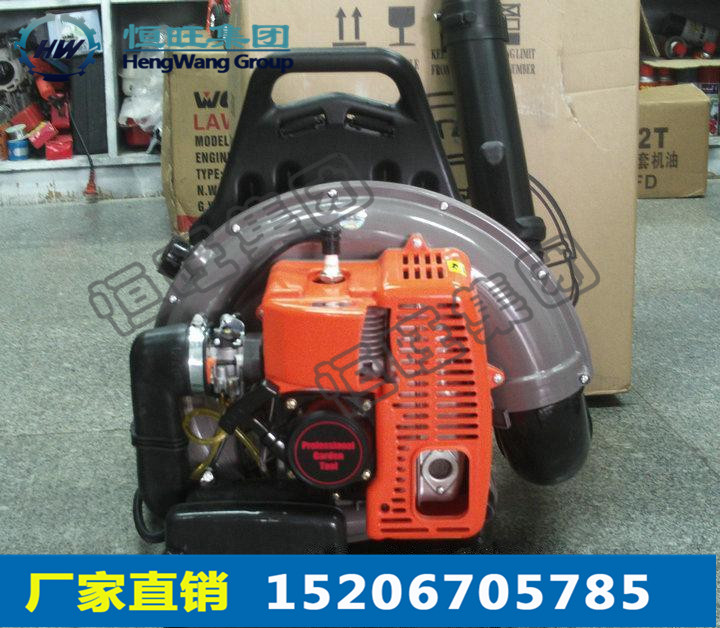背負(fù)式吹風(fēng)機(jī)圖片