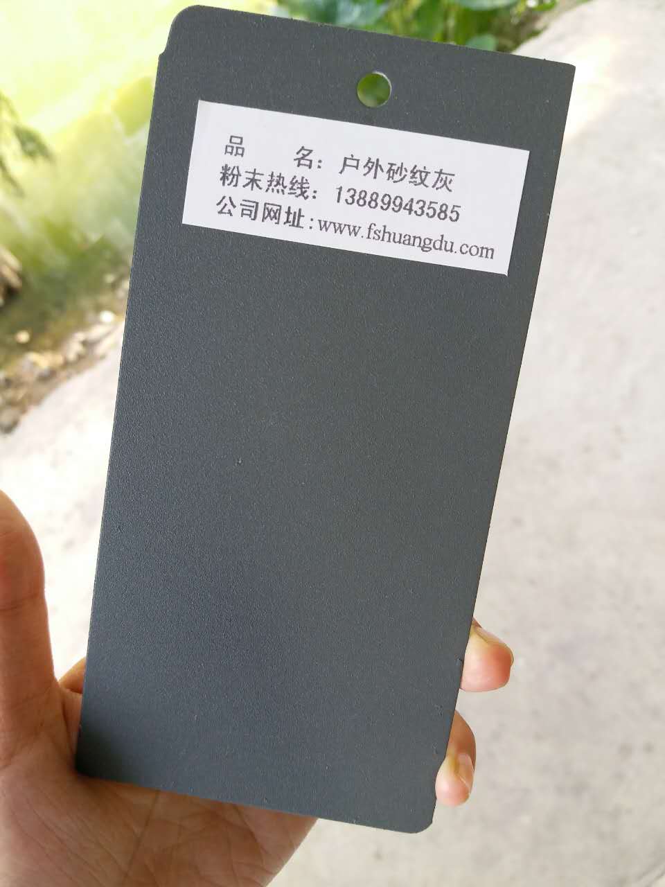 蟻皇粉末圖片/蟻皇粉末樣板圖 (4)