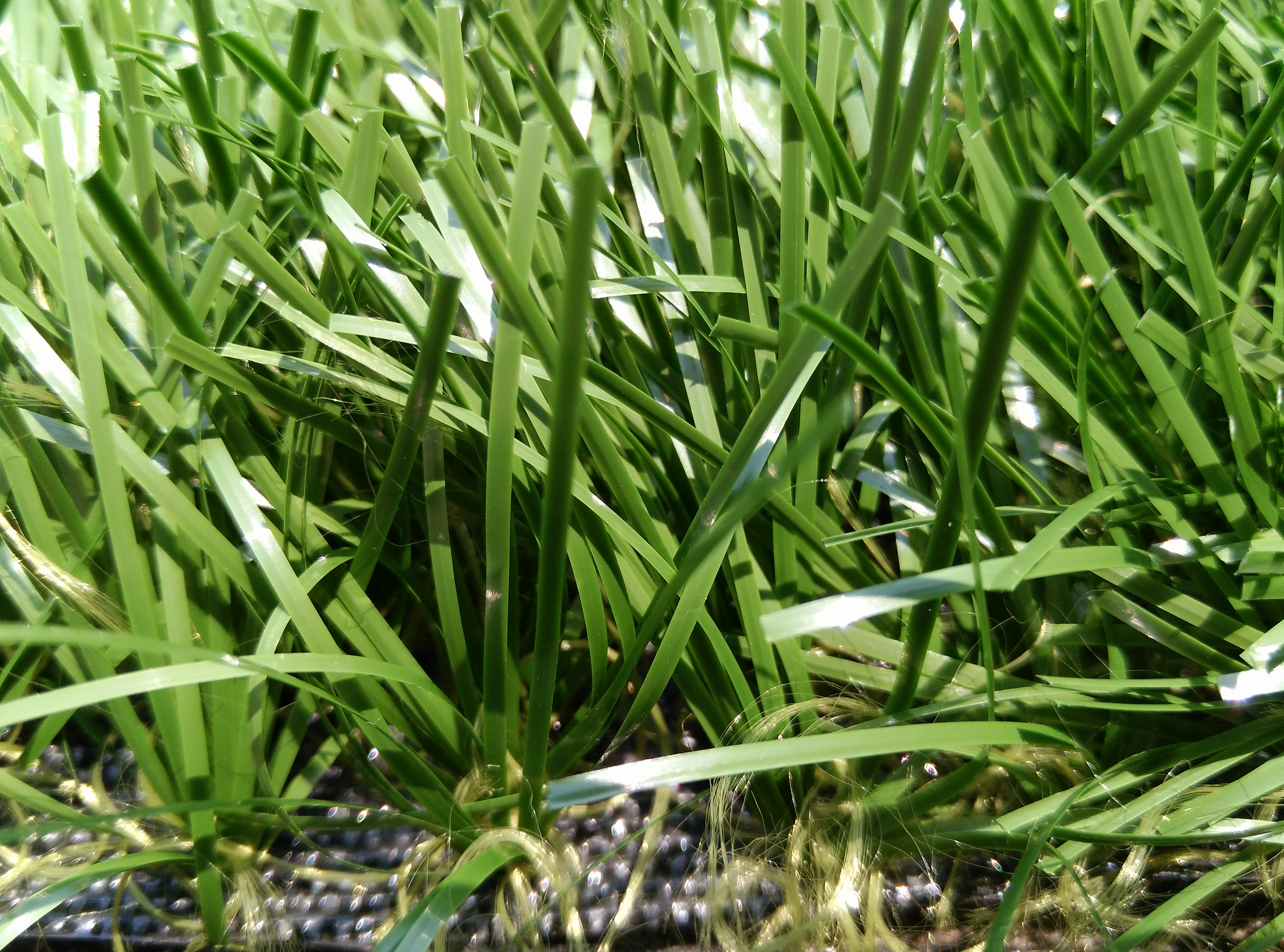 足球場人造草坪圖片/足球場人造草坪樣板圖 (4)