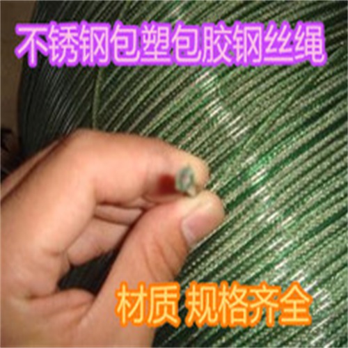 304不銹鋼鋼絲繩圖片/304不銹鋼鋼絲繩樣板圖 (4)