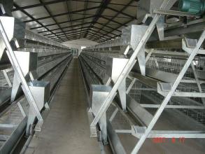 中州雞籠 四層階梯式蛋雞籠 廠家 A字型蛋雞籠 鍍鋅靜電噴涂雞籠 蛋雞籠報價 雞籠廠家