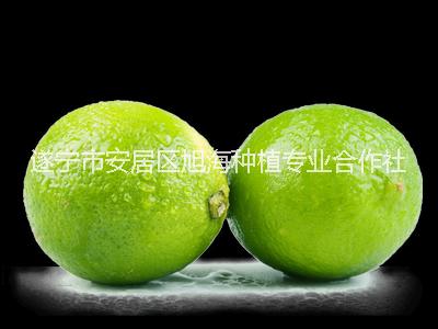 康檸源二級青檸檬，果農(nóng)直銷，歡迎上門選購。
