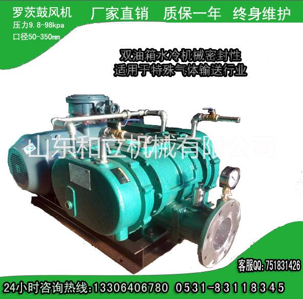 100型羅茨風(fēng)機價格圖片/100型羅茨風(fēng)機價格樣板圖 (2)