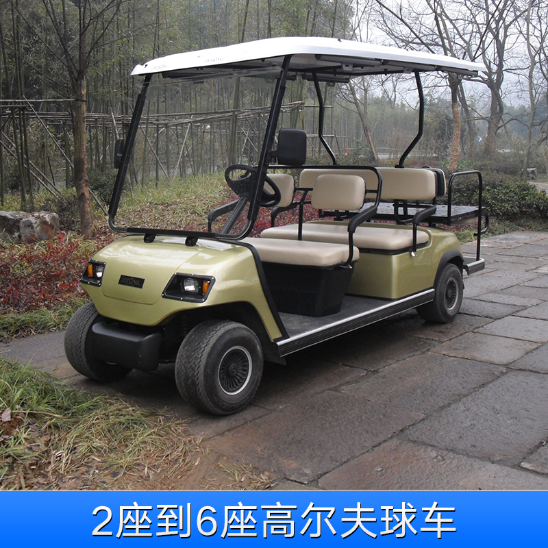 高爾夫球車(chē)圖片/高爾夫球車(chē)樣板圖 (2)